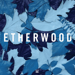 Etherwood - Revive (feat Logistics & Eva Lazarus) [preview]