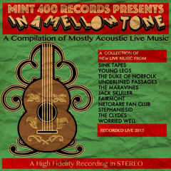 Mint 400 Records Presents In A Mellow Tone: SINK TAPES