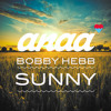 bobby-hebb-sunny-anaa-remix-anaa