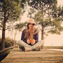 The Establishment Blues - Sixto Rodriguez (cover)