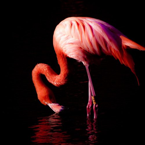 July/August 2015 Playlist (Chillwave/Dreamwave/Vaporwave)