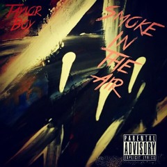 Taylor Boy - Smoke In The Air