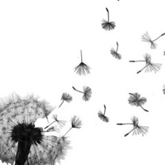 Gif Of The Magi Mixed Live By George St.George