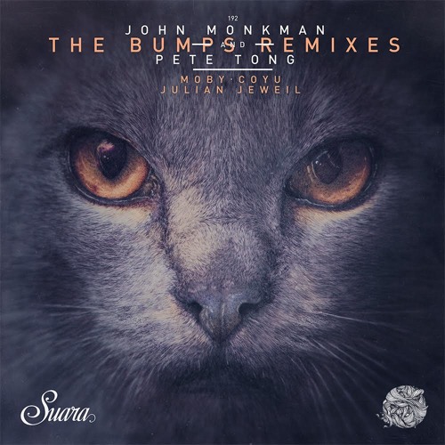 John Monkman & Pete Tong - The Bumps (Moby Remix)