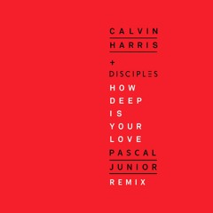 Calvin Harris & Disciples - How Deep Is Your Love (Pascal Junior Remix)