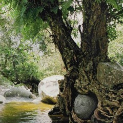 Waters