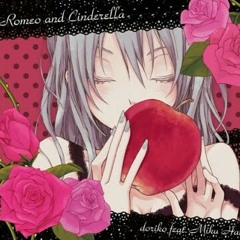 Romeo and cinderella [Nico Nico Chorus fantastic pv]