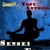 Artwork for Sensei Flow ft. Doelow Da Pilotman & Tony Antonio