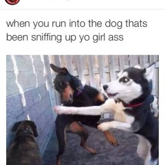 Cypher 35 "15" Speak