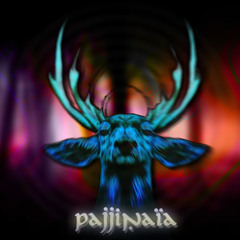 Trance Attack party - Psychedelic Dj Set