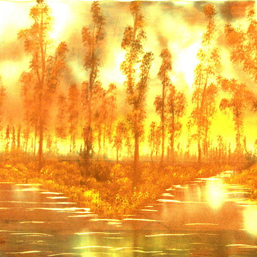 Through Storm And Dawn