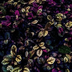 ceyhun celik ochi chornie.mp3