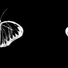Pathetic Decline (Complete)