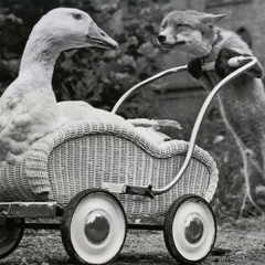 Fuchs du hast die Gans gestohlen