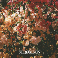 Marvin Gaye - Heard It Trough The Grapevine (Strømson Remix)