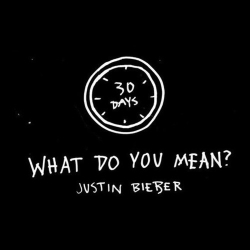 Justin Bieber - What Do You Mean?