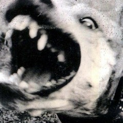 When you open your eyes