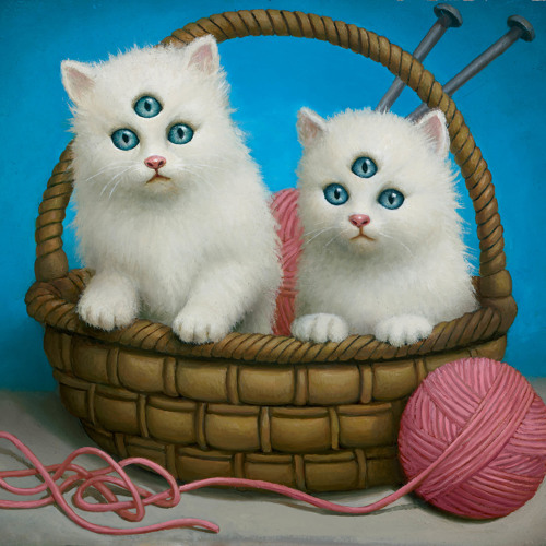 little puss