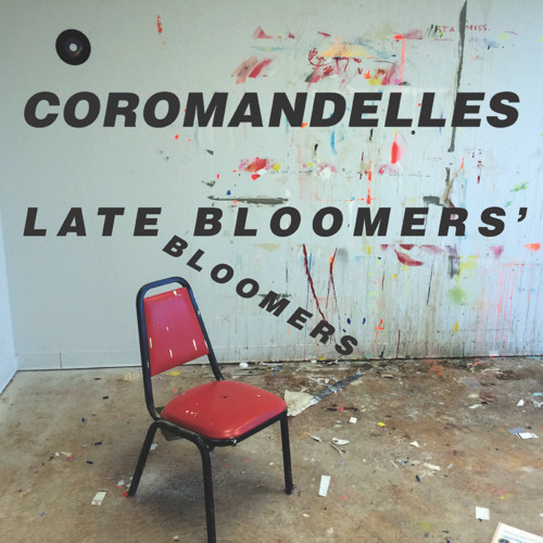 COROMANDELLES - The Project