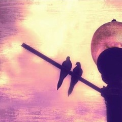 Talk About Love - Daniel King