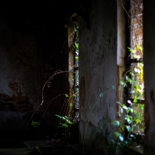 Hakobune & Dirk Serries  / The Slow Movement Of Thought Excerpt