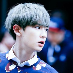 Chanyeol Cover -Wiing Wiing-