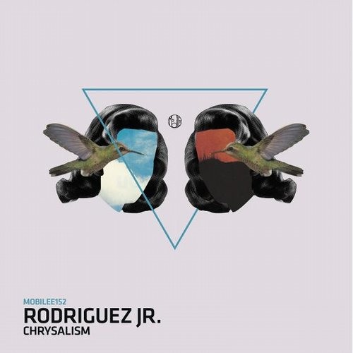 kinetica beatport pro kinetica beatport pro