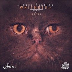Miguel Bastida - Soul Reactions Gorge 's Summer Rework Snippet