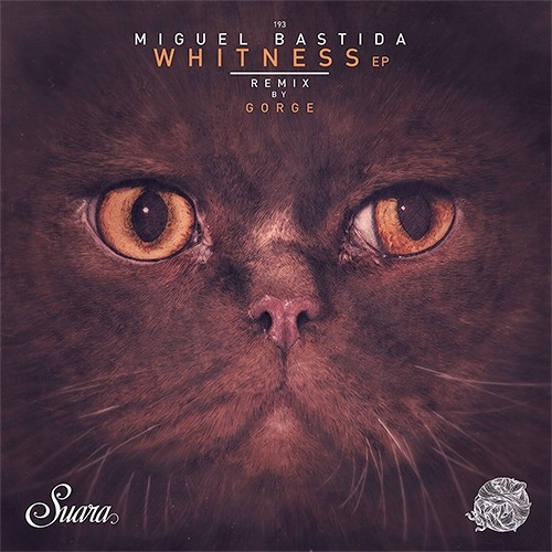 Miguel Bastida - Soul Reactions Gorge 's Summer Rework Snippet