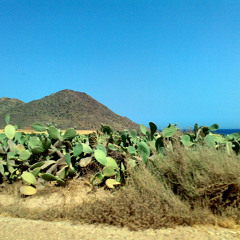 Ulabel.cc - Playlist Verano 2015