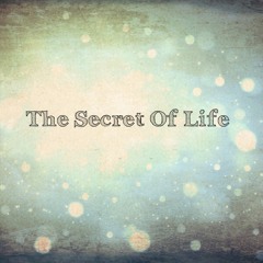 Nolims - The Secret Of Life