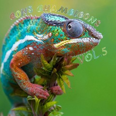 DJ Eons - Vol.5 Eons Chameleons
