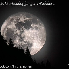 Miami Rockers - Good Morning Miami (FB - Project Radio Mix)Bootleg