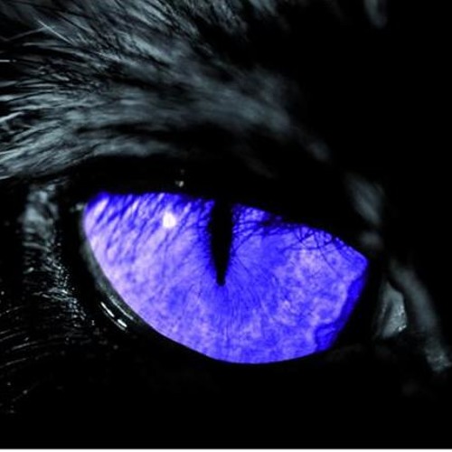 RollinG - Don't Take Shit (Original Mix)