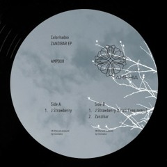 Colorhadoo - J Strawberry (Cristi Cons Remix)