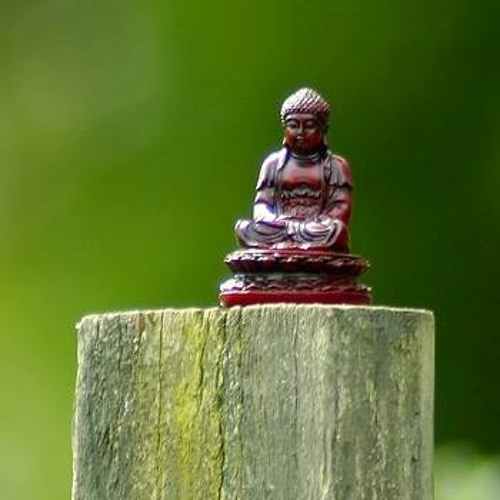 2. Beyond Mindfulness - Exploring Selflessness