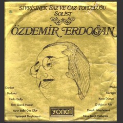 Özdemir Erdoğan & Sivrisinek Saz ve Caz Topluluğu - Koca Dünya
