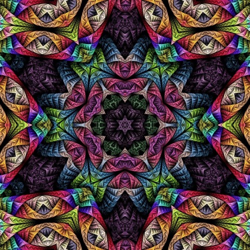 Psychedelic First Year