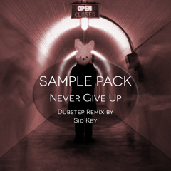 Never Give Up Remix Sample Pack ★FREE DOWNLOAD★