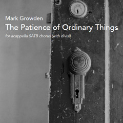 The Patience of Ordinary Thing - Performed by Matthew Curtis