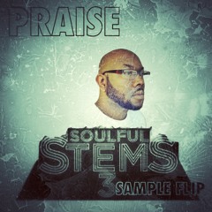 Praise_ Zip Eem Up (Snippet)(MSXII Audio Soulful Stems 3 Flip)