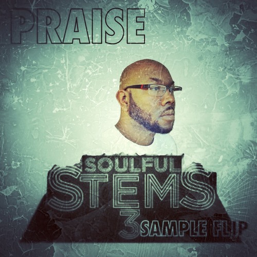 Praise_ Zip Eem Up (Snippet)(MSXII Audio Soulful Stems 3 Flip)