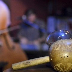 La Vaca Mariposa-Morrocoyo