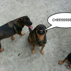 Bouyon Sample (August 2015)