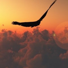 Ed Tangent - Sunriser