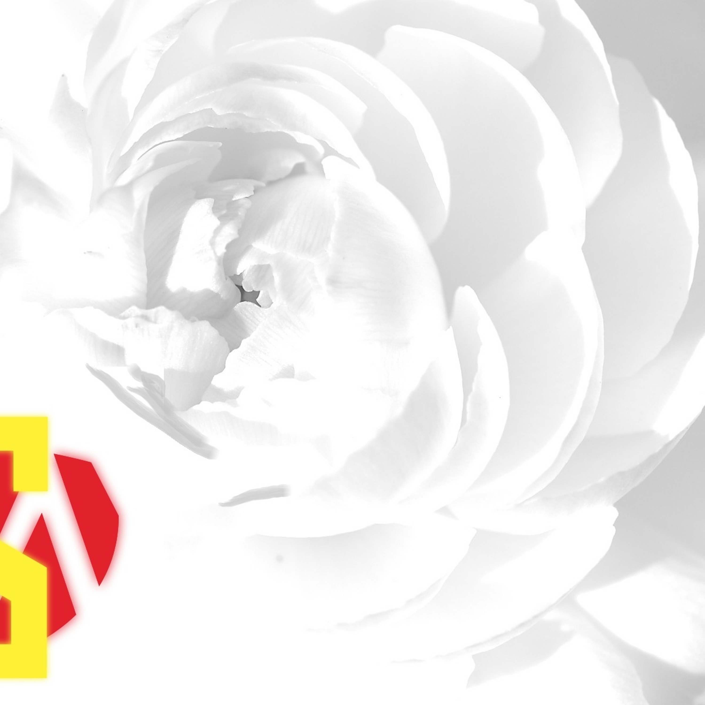 I Got 40 episode artwork