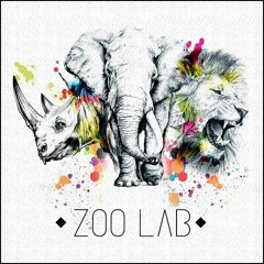 Avance - Shaman (Aney F. Remix) - Zoo Lab
