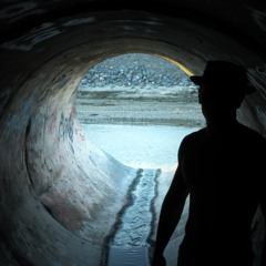 Who Shot Ya Freestyle