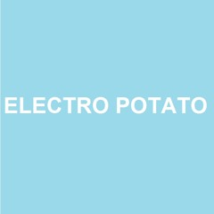 Electro Potato- Balatonparti Italo Party