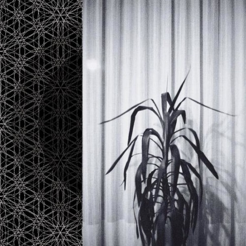 Bunki Guest Mix